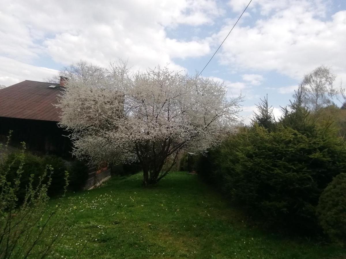 Hotel Rzeczne Zacisze Ustrzyki Dolne Zewnętrze zdjęcie